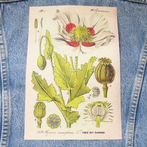 10" Fabric Iron On Patch Opium Poppy Papaver Somniferum Cottagecore Applique